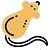 RODENTS