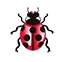 Pest Control